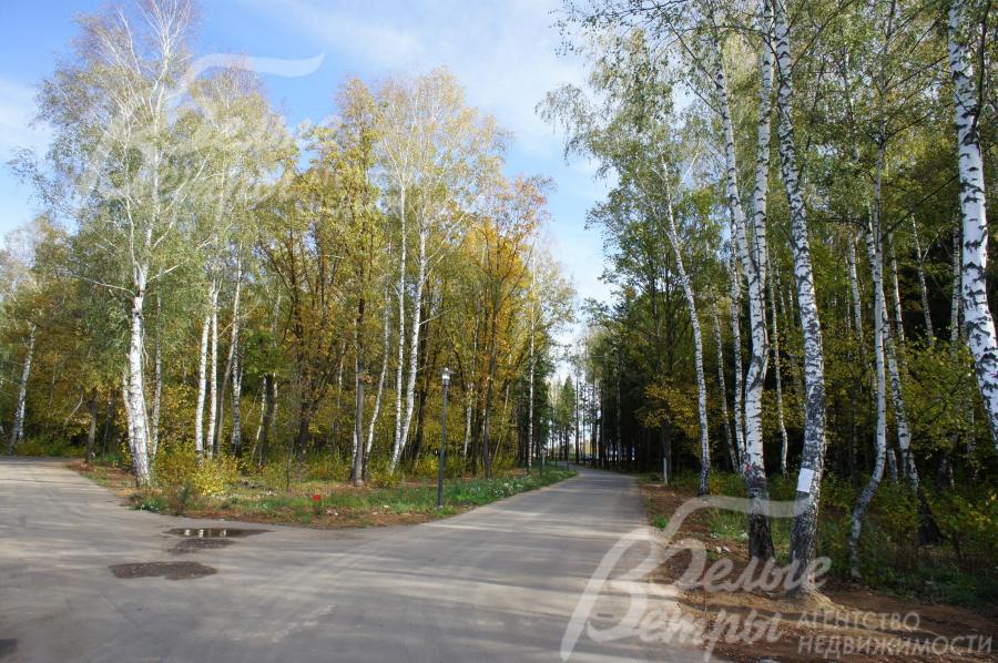 Лесной участок 136 соток в КП "Зеленые холмы"