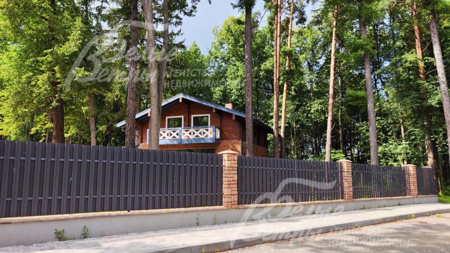 Участок 9.17 соток с лесными деревьями