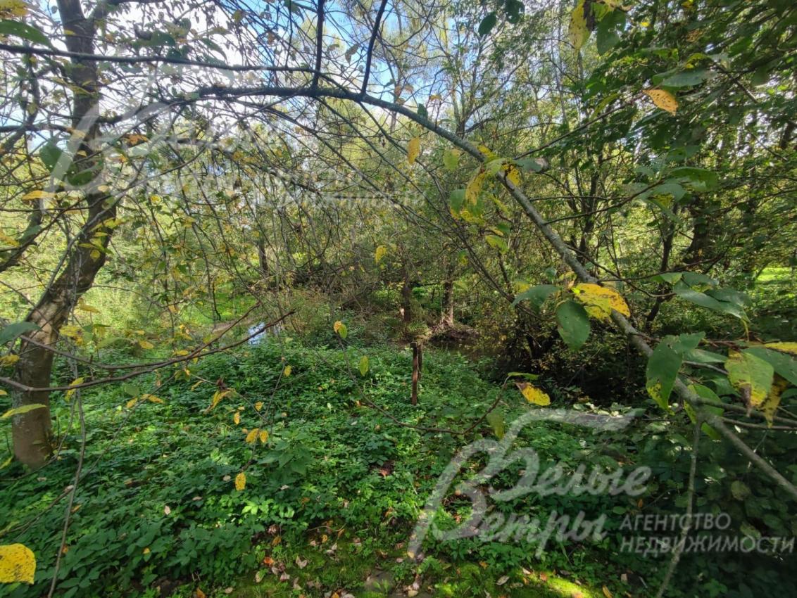 Прямой выход к реке и лесу – прямо с участка, прибрежная зона облагорожена