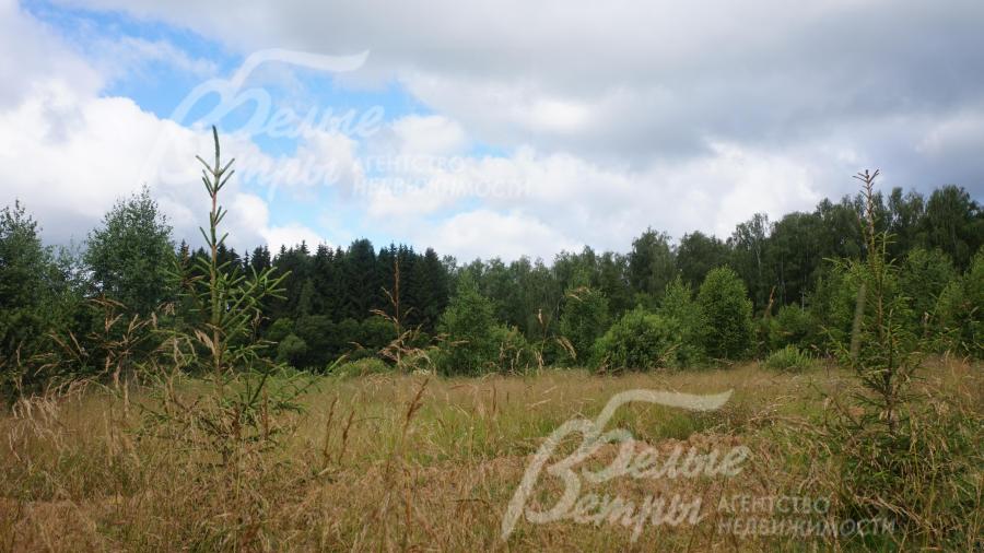 Поселок со всех сторон граничит с лесом