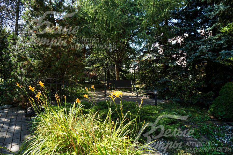 Качели в тени деревьев