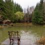 Точка притяжения на участке – собственный искусственный зарыбленный пруд 