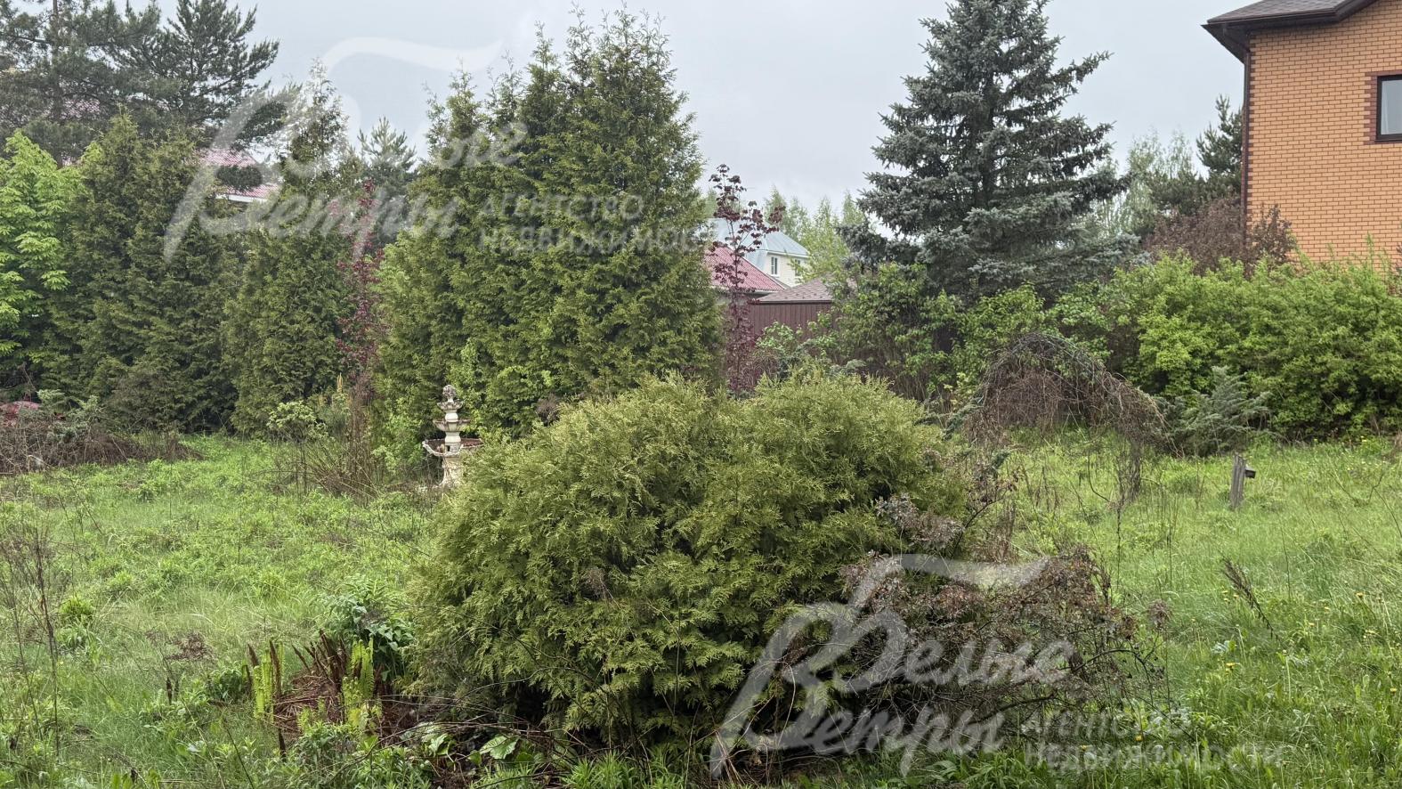 Выполнен частично проекта ландшафтного дизайна: высажены туи, ели и сосны, декоративные кустарники