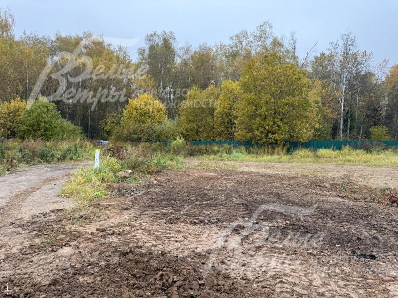Территория участка освобождена от деревьев, на ней нет каких-либо построек
