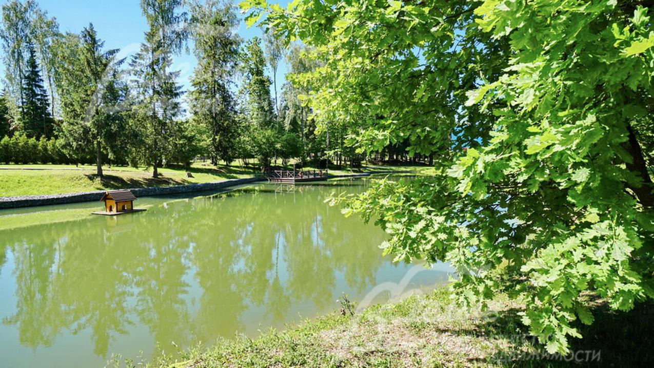 Участок имеет выход к пруду