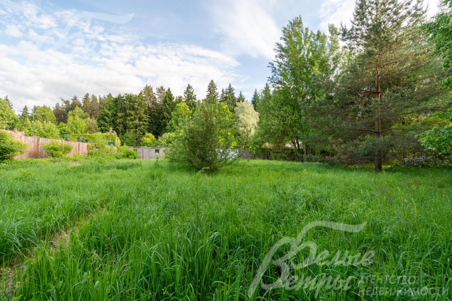 Земля готова к строительству жилого дома и благоустройству, на ней частично сохранены лесные деревья